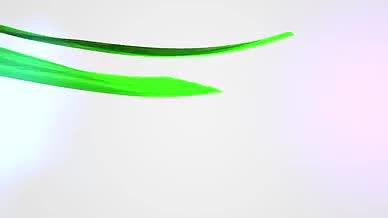 优雅3D彩色丝带缠绕logo开场AE模板视频的预览图